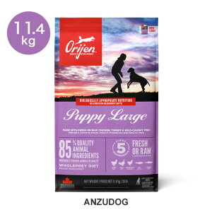 orijen �I���W�� �p�s�[���[�W 11.4kg ���p �h�b�O�t�[�h �h���C�t�[�h