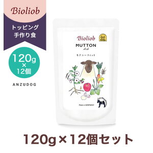 rII[u }gEfBbVLhj[EtBbgitj 120g×12 ̂͂ hbOt[h EFbgt[h gg gbsO