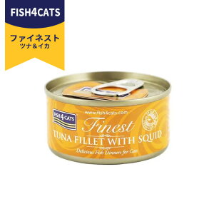 �t�B�b�V��4�L���b�g �L�� �c�i���C�J TUNA FILLET WITH SQUID 70g �L�̂��͂� �L���b�g�t�[�h �E�F�b�g�t�[�h