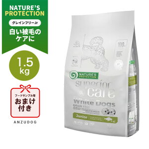 lC`[YveNV X[yAPA zCghbO OCt[ WjA 1.5kg p hbOt[h