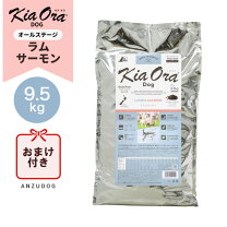 楽天市場】キアオラ 9.5kgの通販