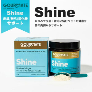 GOURMATE OCg Shine/VC 畆EсET|[g pE_[ 21g Tvg hbOt[h  L 畆уT|[g