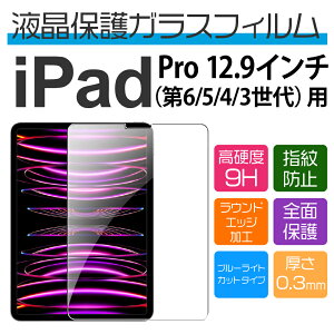 12.9�C���` iPad Pro�i6/5/4/3����j�p�u���[���C�g�J�b�g�ی�K���X�t�B����