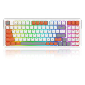 REDRAGON K664WOG-RGB pz ԎJjJL[{[h pꔠ