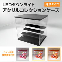 楽天市場】ダウンライト おしゃれ（コレクションケース｜コレクション 