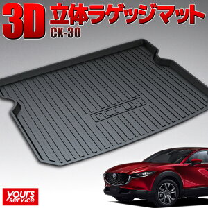 y1000~OFFN[|Lz}c_ CX-30 gNgC c/S13 ACRUX trunktray  h D  h~  ی J Lv ނ AEghA QbW}bg Q[W gN ׎}b