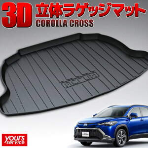 y1000~OFFN[|Lzg^ J[NX gNgC c/S13 ACRUX trunktray  h D  h~  ی J Lv ނ AEghA QbW}bg Q[W g