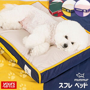 }[ Xt xbh mummur ybgpi ybgpxbh Vg[ `[Y x_[N[