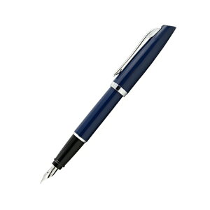 【10/1〜31ポイント5倍要エントリー】名入れ 万年筆 アウロラ AURORA スタイル STYLE 万年筆 E05/E12/E17 極細字 EF / 細字 F / 中字 M ギフト プレゼント お祝い 記念品 高級万年筆 文房具 名前入り 名入