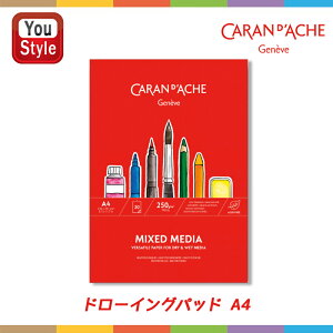 y9/16~17聚2000~OFFN[|z݌Ɉ| ԎZ[ J_bV CARAN D'ACHE |XgJ[h h[COpbh A4 0454-114 ރANZT[ G`  G`  Mtg v