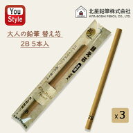 【P5倍要エントリー】 【3本まとめ売り】北星鉛筆 KITA-BOSHI PENCIL シャープペン替芯 大人の鉛筆用 替…