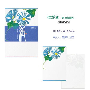 y1020~4h聚10N[|P5{vGg[z ~h MIDORI 畿 VN  16 2×8 87173006/ VN 6 87174006/M VN 16 2×8 89589006/͂  6 