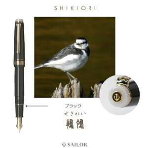 y11/15~16聚2000~OFFN[|P5{vGg[z Z[[ SAILOR NM vtFbT[ bh MF 11-9018-330 Mtg v[g j LOi a AE w Y fB