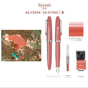 【10/1〜31ポイント5倍要エントリー】セーラー SAILOR 万年筆セット 数量限定 プロフィットジュニア+10 エルーセラ島/10-0291-001 奄美大島/10-0291-002 腐海/10-0291-003 ステンレス MF 入学祝い 就職祝 誕