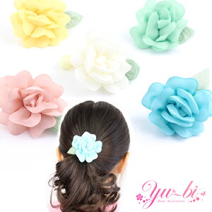 y1870~ȏ䂤pPbgzLbYwAS/ӂ KN GKg wAS ki59~gi΁j/F/ItzCg/sN/F o t[ wA|j[ q  wA