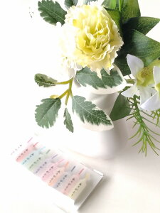 At[ Mtguԁv&肪Ƃ낤 t[{bNX@p