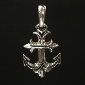 Vo[925 V[vȃNXy_gwbh silver925 Vo[ANZT[ Vo[  NX lbNX lbNX Y