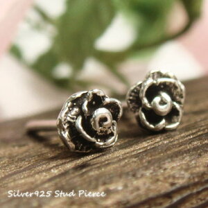 Vo[sAX 4mmTCYłƂĂǃGKgKN̉ԃsAX a054(a-2-4) Vo[925 silver925 Vo[ANZT[ o ΂ t[ X^bhsAX fB[XsAX...