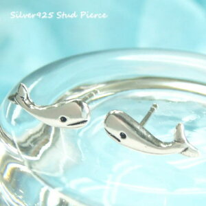 Vo[sAX {ɃNWjł݂ŉ炵 ̂قق\̂炿sAX  Aj} a101(a-2-10) Vo[925 silver925 Vo[ANZT[ ~ C̐ X^b