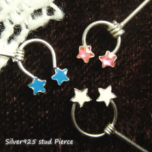 Vo[sAX z[XV[̐ۂɂ܂L nJ[X^[̃X^bhsAX Vo[925 silver925 Vo[ANZT[ fB[XsAX  ق zV