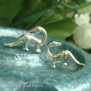 Vo[sAX ̒H̋X[p[TEXX ?ƂlbV[H̒̃sAX  Aj} Vo[925 silver925 Vo[ANZT[ X^bhsAX fB[XsA