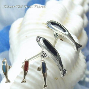 Vo[sAX w̃ubNJ[|CgȃCJ̃X^bhsAX  Aj} Vo[925 silver925 Vo[ANZT[ 邩  fB[XsAX