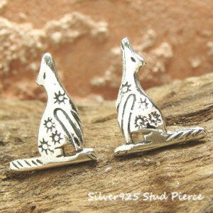 Vo[sAX IIJ~ ҁX  Aj} sAX Vo[925 silver925 Vo[ANZT[ X^bhsAX fB[XsAX YsAX iĂ