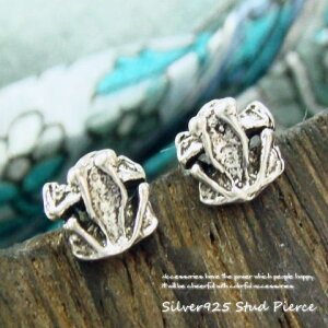 Vo[sAX ҂҂ђ˂ ?܂Ŗ{݂ȃJG̃sAX Vo[925 silver925 Vo[ANZT[ X^bhsAX fB[XsAX ^ JG 