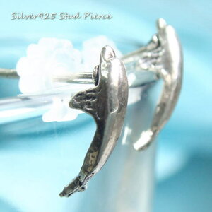 Vo[sAX XCXCjł悤ȃCJ̃sAX Vo[925 silver925 Vo[ANZT[ C̐ 邩  Aj} X^bhsAX fB[XsAX