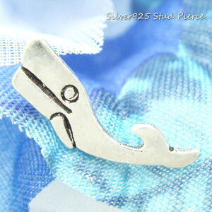 Vo[sAX ӂӂjł悤 킢炵NWsAX Vo[925 silver925 Vo[ANZT[  ~ C̓  Aj} X^bhsAX fB[XsAX