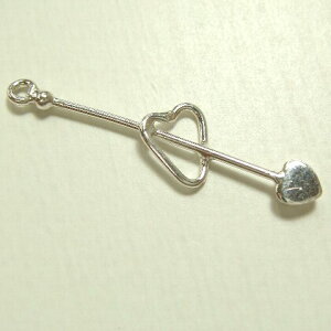 Vo[p[c 21Zbg 6.03mm×25.22mm^CvŃVo[925̃n[gтĂ悤ȃVo[n[gp[c2Zbg r[Y ANZT[ Vo[925 silver925 Vo[