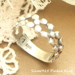 sL[O Vo[O Vo[925 w 4ԕق̂Ԃ҂ݕ҂ݕ t[ silver925 Vo[ANZT[ 