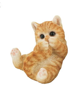 Vb|nnigj@xj[YLbg~j@10.7cm×7.4cm×5.5cm@@dʁF130g @f:|W