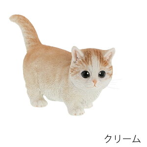 }`J@N[@xj[YLbg@AЂt@22cm×9.6cm×17cm@@dʁF500g @f:|W