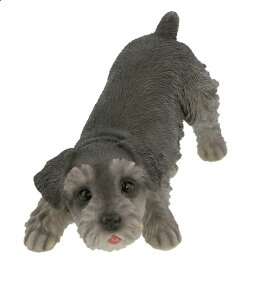 hAXgbp[@ViEU[@20.5cm×11.5cm×12cm@@dʁF1320g@f:|W@EhAیpVRNbVt