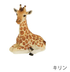 �L�����@�q�ǂ��@���g���T�o���i�@11.3cm×7.5cm×����14.5cm�@�@�d�ʁF250g�@�f��:�|�����W��