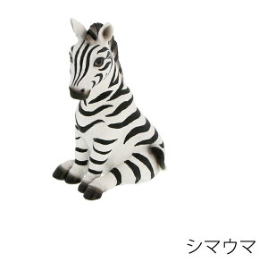 V}E}@qǂ@gToi@10.2cm×8.4cm×14.5cm@dʁF250g@f:|W