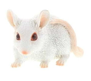 ncJlY~ 6cm×10.5cm×6.5cm dʁF130g fށF |W ͂˂݁@˂݁@lY~@l@}EX@\x