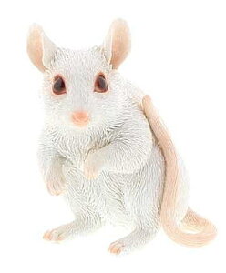 ncJlY~ 8cm×7cm×10cm dʁF130g fށF |W ͂˂݁@˂݁@lY~@l@}EX@\x