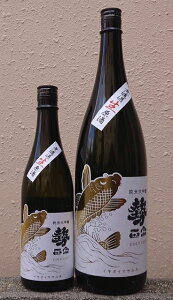 @ (܂ނ) ߘa5BY Gold carp đ h  yې𑢓Xzy쌧zyʌzy59z