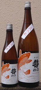 @ (܂ނ) ߘa6BY Ď Orange CARP yې𑢓Xzy쌧zyʌzy59zyԁz