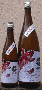 @ (܂ނ) ߘa6BY APPLE CARP ċ hߐ yې𑢓Xzy쌧zyʌzy59z