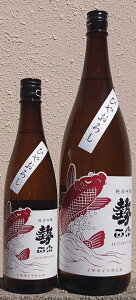 @ (܂ނ) ߘa6BY Autumn carp ċh߉Γ Ђ₨낵 yې𑢓Xzy쌧zyʌzy59zyHz