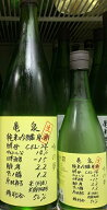 亀泉(かめいずみ) 純米吟醸生原酒 CEL(セル)-24 吟の夢 【令和7BY】【高知県】【亀泉酒造】
