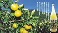 じゃばら酒 別仕立て【吉村秀雄商店】【じゃばら村】【花粉対策酒】【日本酒ベース】【酸っぱい】【甘く…
