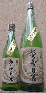 zTጎ (̂) ߘa6BY  Ђ₨낵 yVzyRсzy{zyRzycsm̂z