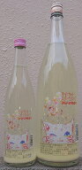 三芳菊(みよしきく) 令和7BY KIT CAT!! キットカット SPARKLING スパークリング 【超フルーティー】【徳…