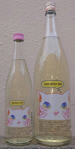 �O�F�e(�݂悵����) �ߘa7BY KIT CAT!! �L�b�g�J�b�g 2026 ���ċ�� ���h�� ������ �y���t���[�e�B�[�z�y�������z�y�O�F�e�𑢁z�y�ʎ����̗l�ȓ��{���z�y�t���b�V���z�y�W���[�V�[�z�y������