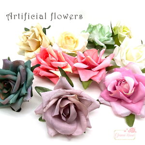 t[ C  fBXvC Cxg p[eB RT[W S10F 2 z-71 GreenRoseYumi