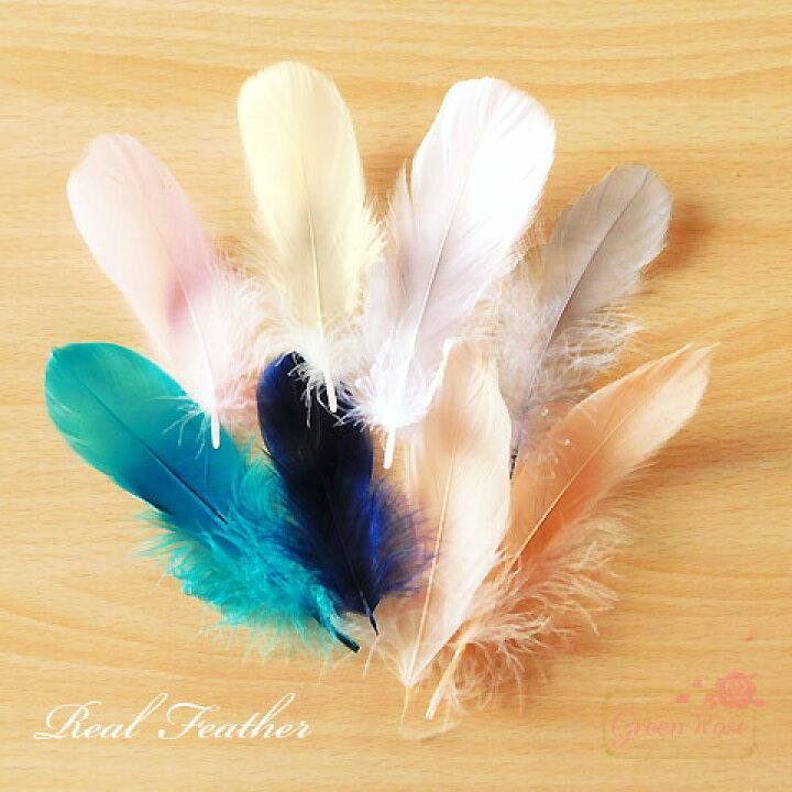 楽天市場 ふんわり天然フェザー 10枚 鳥の羽根 鳥 羽 アクセサリーパーツ Motif218 Green Rose ネットショップ Yumi